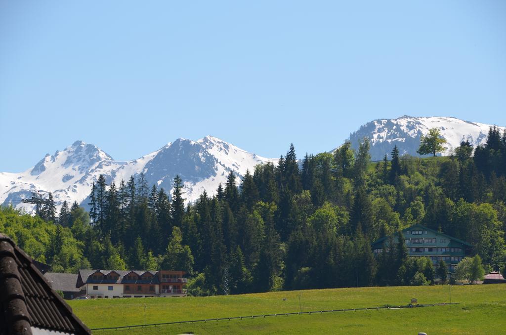 Haus Pitzer/Apartments Troicher Schladming Room photo