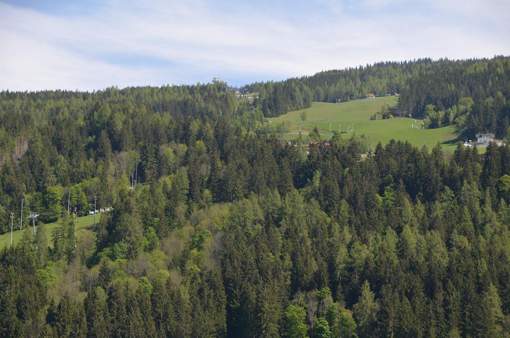 Haus Pitzer/Apartments Troicher Schladming Room photo